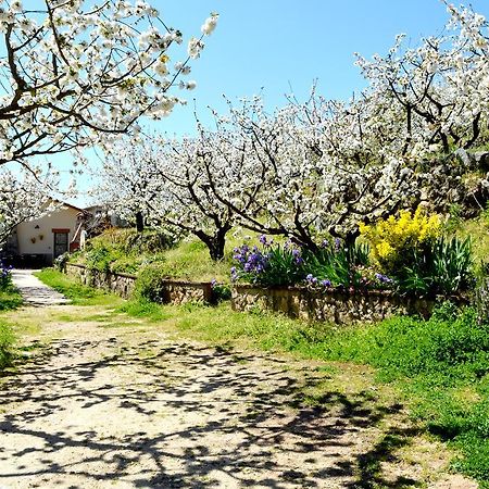 Casa Valeriana Villa Navaconcejo Bagian luar foto