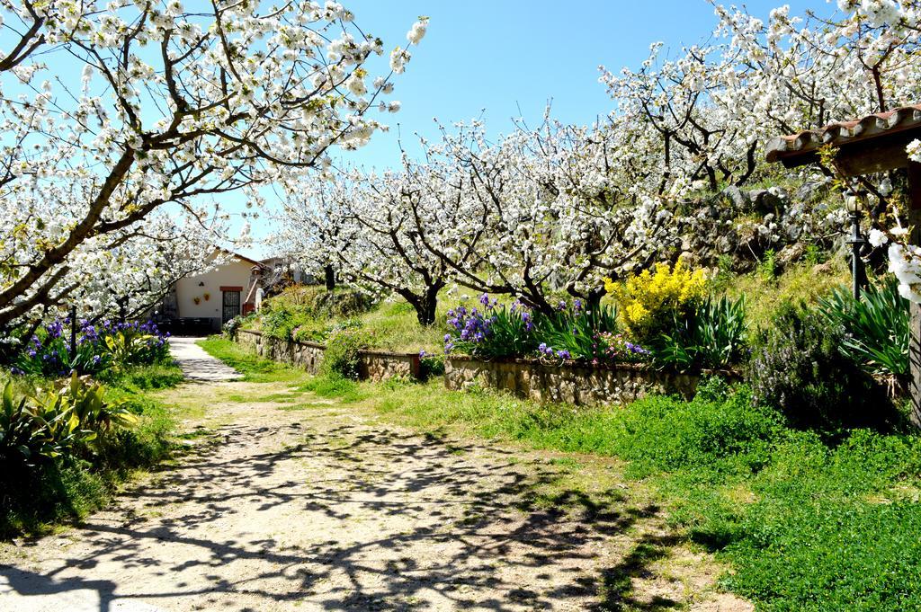 Casa Valeriana Villa Navaconcejo Bagian luar foto